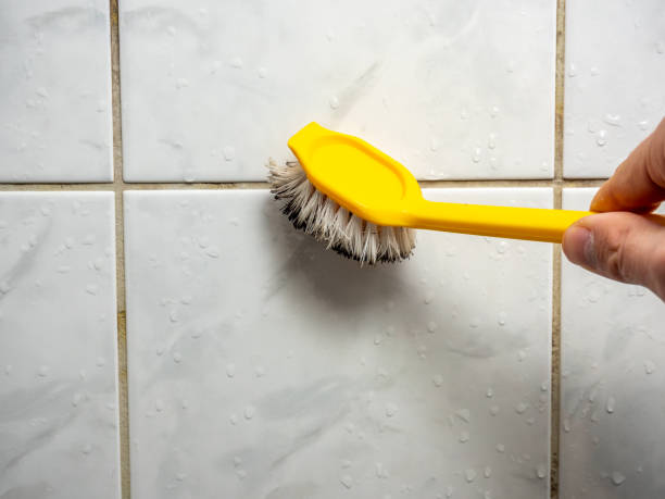 Best Mold Testing  in Glendale, MO