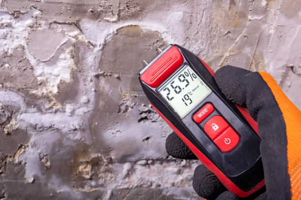 Best Attic Mold Removal  in Glendale, MO