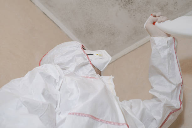 Best Commercial Mold Removal  in Glendale, MO