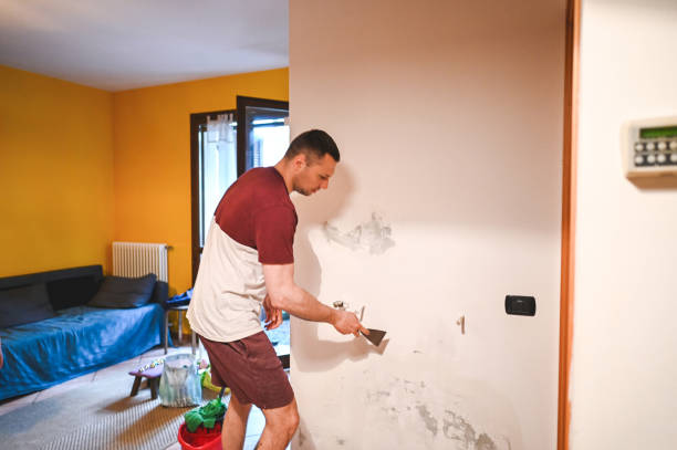 Certified Mold Removal in Glendale, MO